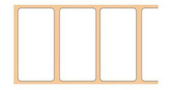 エプソン DT-243 ダイカットラベル の概略図